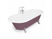 American Bath Factory T150B SN P Winston 67 in. Splash Of Color Cast Iron Bath Tub Satin Nickel Metal Finish Small