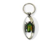 Ed Speldy East Company SK805 Real Bug Green Chafer Beetle Key Chain Clear Oval