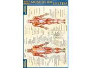 BarCharts Inc. 9781572227606 Muscular System