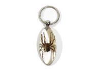 Ed Speldy East Company SK804 Real Bug Spider Key Chain Clear Oval