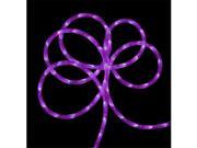 NorthLight 288 ft. Commercial Grade Purple LED Indoor Outdoor Christmas Rope Lights On A Spool