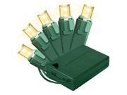 Winterland BAT 50MMWW 4G 5 mm. Chonical Battery Operated Warm White LED Light 50 Count Green Wire