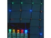 Winterland S 4X6MM5M NG Led Multi Colored Net Light 4 x 6