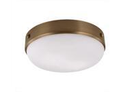 Feiss 2-Light Indoor Flush Mount, Dark Antique Brass - FM390DAB Feiss 2-Light Indoor Flush Mount, Dark Antique Brass - FM390DAB
