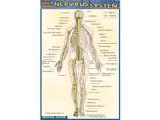 BarCharts Inc. 9781572228214 Nervous System