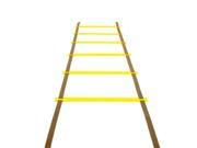 Functional Fitness Outlet AGIL 001 01 15 ft. Agility Ladder