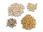 Frey Scientific Broad Bean Seeds 0.5 Lbs.