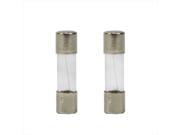 NorthLight Replacement Fuses For Christmas Lights 5 Amps 2 Pack