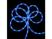 NorthLight 150 ft. Commericial Grade Blue LED Indoor Outdoor Christmas Rope Lights On A Spool