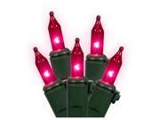NorthLight Set Of 50 Pink Mini Christmas Lights Green Wire