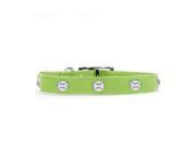 Rockinft Doggie 844587020385 1 in. x 22 in. Leather Collar with Heart Rivets Green