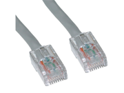 Cable Wholesale CAT6 Ethernet Patch Cable UTP Bootless Gray 100 ft