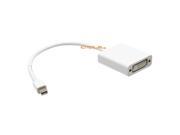 Cmple Mini DisplayPort to DVI Adapter