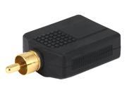 Monoprice RCA Plug To 2 x 6.35mm 1 4 Inch Stereo Jack Splitter Adaptor Gold