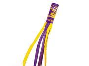 BSI Products Louisiana State Tigers NCAA Sports Team Logo Wind Sock