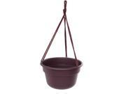 Bloem 12in Dura Cotta Hanging Basket Exotica DCHB12 56