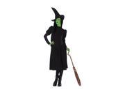 Wicked Elphaba Witch Costume