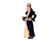 Dress Up America Halloween Party Costume Renaissance Princess Size Large 12 14