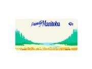 Smart Blonde Manitoba Novelty Background Customizable Vanity Metal License Plate Tag Sign