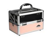 Sunrise Professional Outdoor Travel Pink Clear Makeup Case C0009