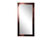 Rayne Home Decor Shiny Bronze Floor Mirror 28.5 x 63.5