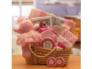 Gift Basket Drop Shipping Our Precious Baby New Baby Carrier Medium Pink