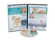 Weber Harris Dvd Getting Started In Animal Oil Painting Fawn 1 Hour