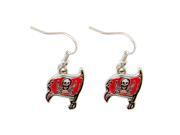 Tampa Bay BUCS Buccaneers Dangle Logo Earring Set Charm Gift NFL Tampa Bay BUCS Buccaneers Dangle Logo Earring Set Charm Gift NFL