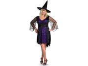 Adult Plus Size Brilliantly Bewitched Costume Disguise 23884