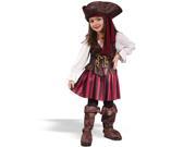 Toddler High Seas Pirate Girl Costume FunWorld 1558