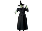 Wicked Witch Elite Women s Costume