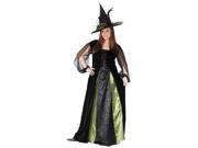 Plus Size Gothic Witch Maiden Costume for Women