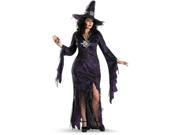 Sorceress Plus Adult Costume