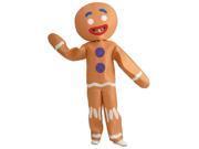 Shrek Gingerbread Man Child Costume