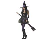 Wicked Witch of the West Costume