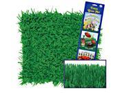 Green Grass Tissue Mats 2 count