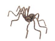 20 Brown Spider