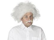 Adult Albert Einstein Wig