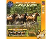 1000 Piece Panoramic Puzzle Racing Waters