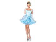 Disney Princesses Glass Slipper Cinderella Costume Dress Adult Large