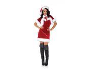 Merry Mrs. Claus Christmas Holiday Adult Costume Large
