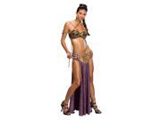 Star Wars Sexy Princess Leia Slave Outfit Adult Costume Small