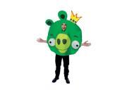 Angry Birds Green King Pig Oversized Foam Adult Costume One Size Fits Most
