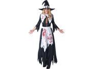 Salem Witch Costume Dress Adult Small