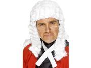 Judge Adult Costume Wig