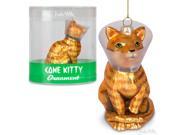 Cone Kitty Glass Ornament by Accoutrements 12600