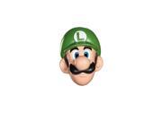 Super Mario Bros. Luigi Adult Costume Mask
