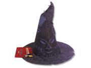 Harry Potter & The Deathly Hallows Sorting Child Costume Hat