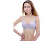 Phistic Women s Sheer Elegance Floral Embroidered Padded Bra