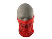 Zanheadgear T106 Motley Tube 100 Percent Polyester Red Paisley